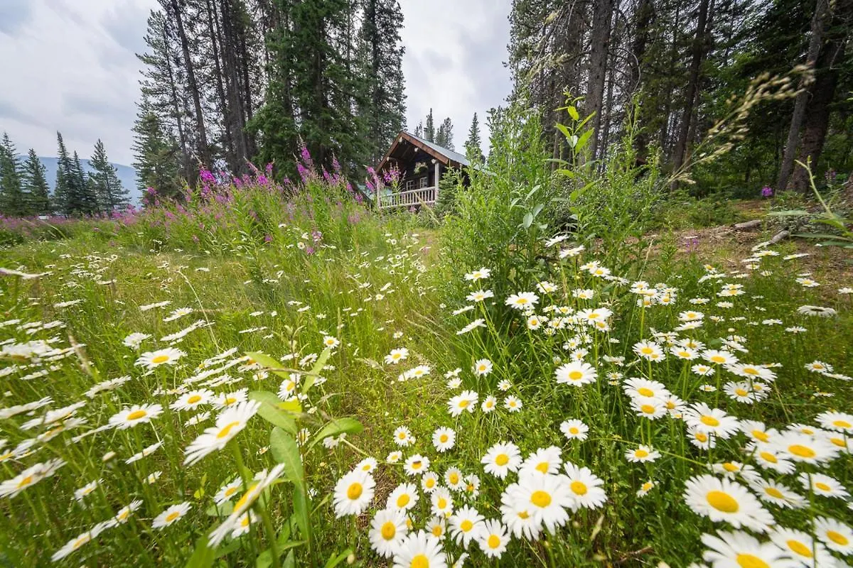 Hotel Storm Mountain Lodge & Cabins Castle Junction Canada