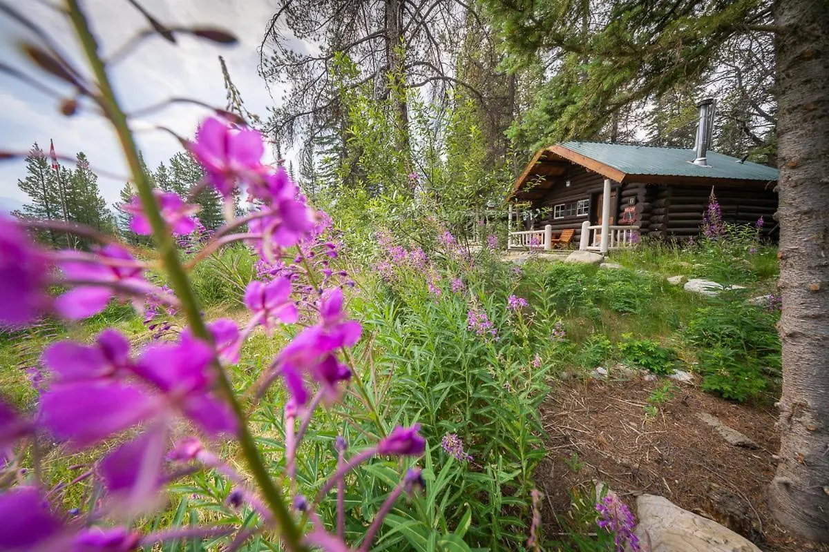 Storm Mountain Lodge & Cabins Castle Junction Hotel