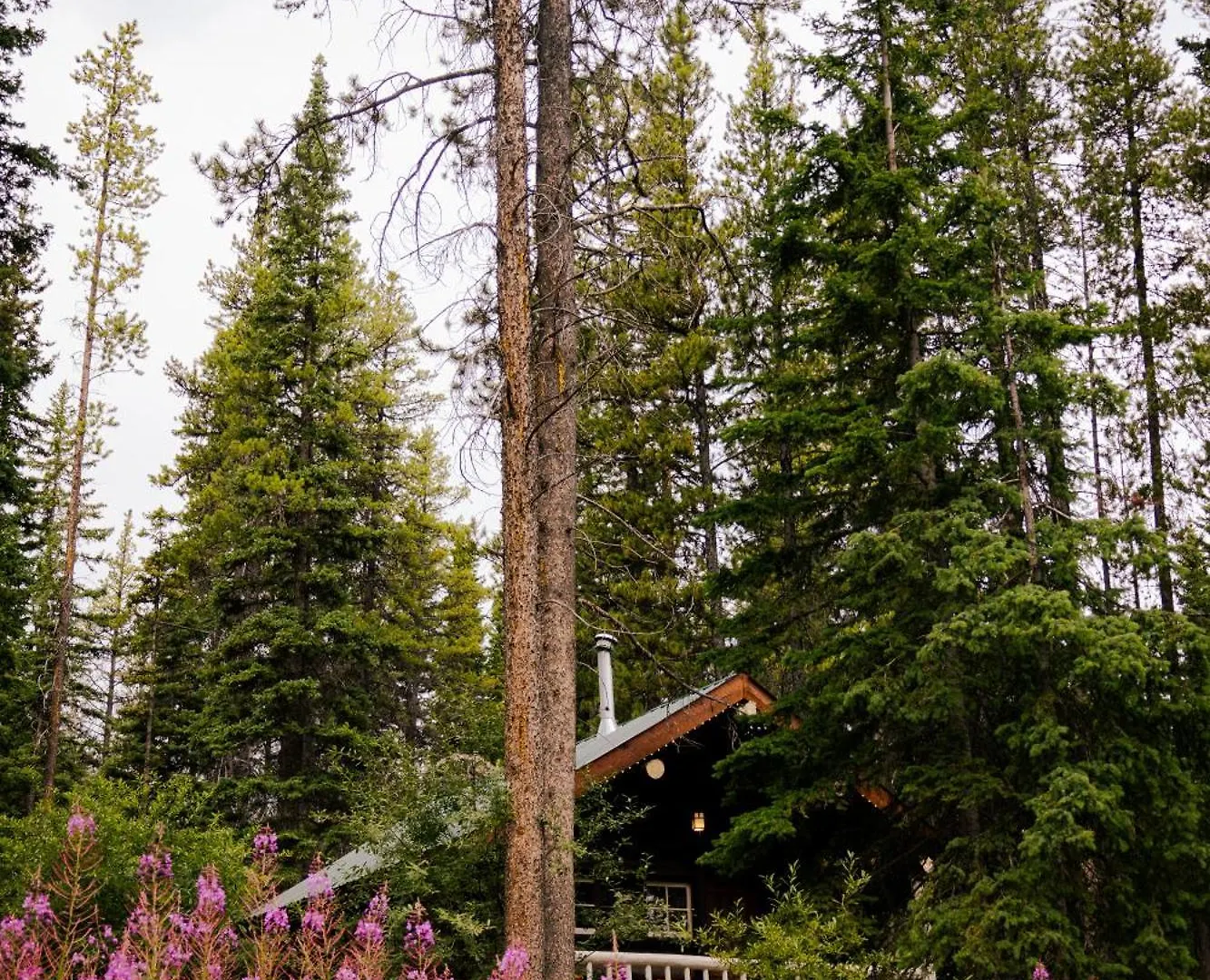 Storm Mountain Lodge & Cabins Castle Junction