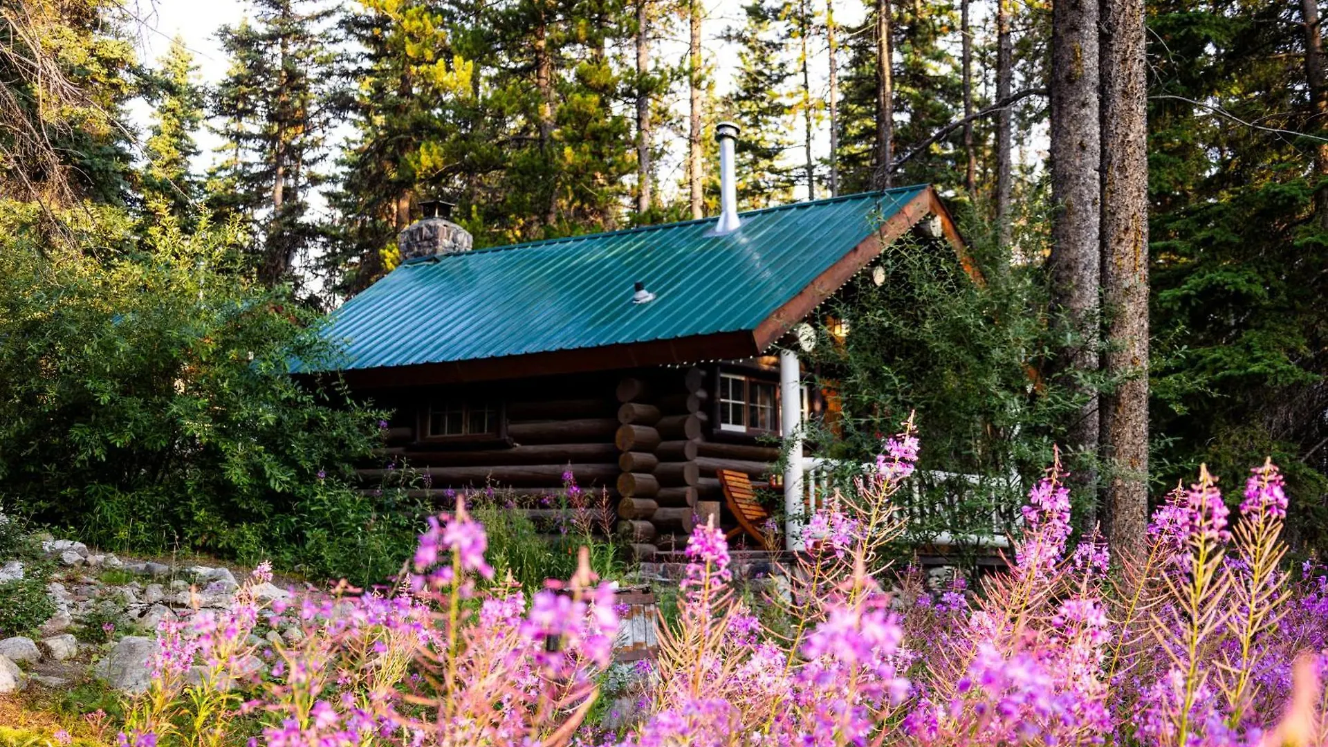 Storm Mountain Lodge & Cabins Castle Junction Hotel