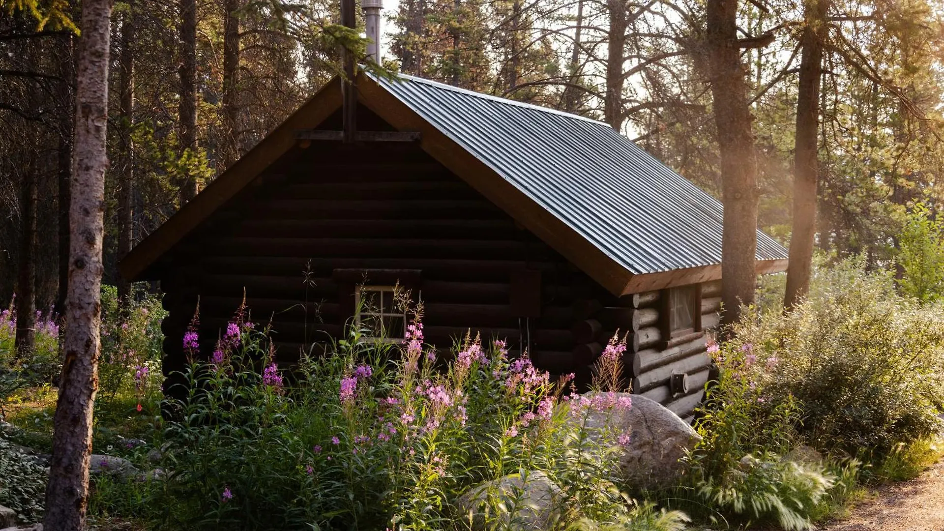 Hotel Storm Mountain Lodge & Cabins Castle Junction Canada