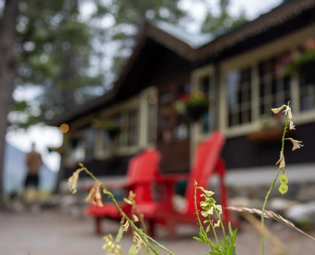 Storm Mountain Lodge & Cabins Castle Junction 0*,