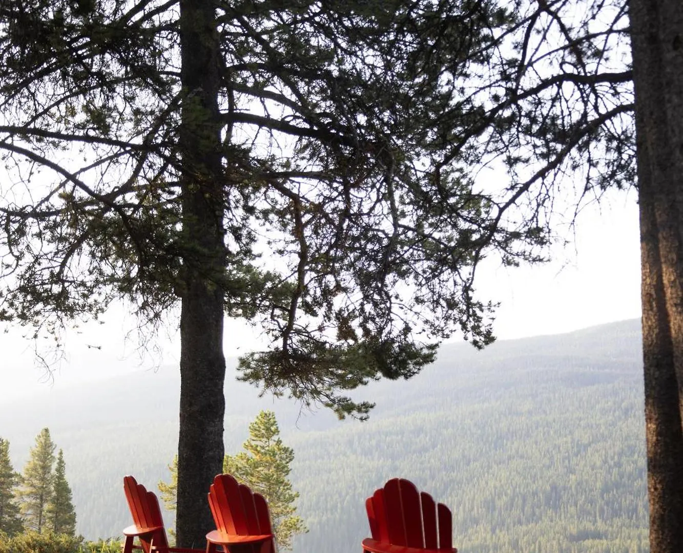 Storm Mountain Lodge & Cabins Castle Junction Hotel